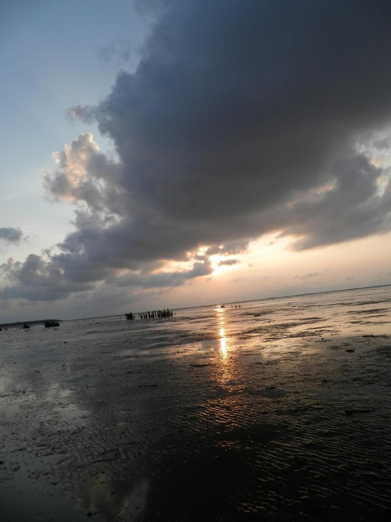 4Pers House Christine W Sauna, Winter Garden & Fishing Pier Anjum 外观 照片